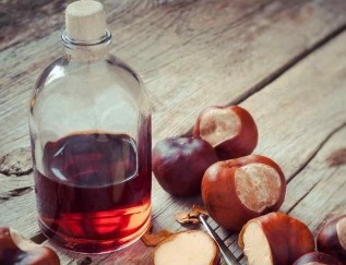 Chestnut tincture